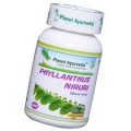 Planet Ayurveda-Phyllanthus Niruri